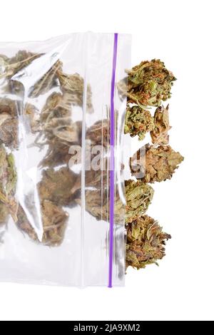 Grande sacchetto di plastica di erbaccia o marijuana. Foto Stock