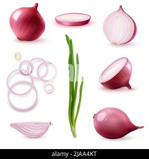Rosso cipolla realistico set con bulbi fette germogli su sfondo bianco isolato vettore illustrazione Illustrazione Vettoriale