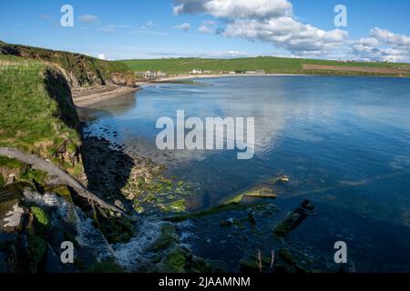 Scapa Bay, con vista su Scapa Flow, Isole Orkney, Scozia Foto Stock