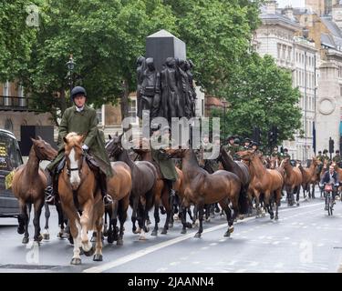 I membri della Household Cavalry hanno visto sposarsi con i loro cavalli lungo Whitehall. Immagine scattata il 24th maggio 2022. © Belinda Jiao jiao.bilin@gmail. Foto Stock