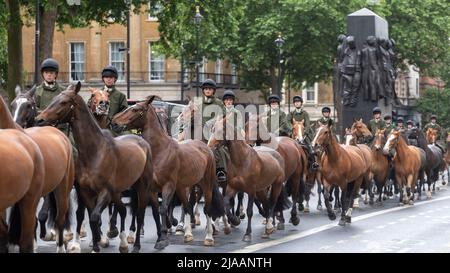 I membri della Household Cavalry hanno visto sposarsi con i loro cavalli lungo Whitehall. Immagine scattata il 24th maggio 2022. © Belinda Jiao jiao.bilin@gmail. Foto Stock