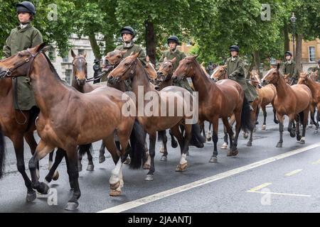 I membri della Household Cavalry hanno visto sposarsi con i loro cavalli lungo Whitehall. Immagine scattata il 24th maggio 2022. © Belinda Jiao jiao.bilin@gmail. Foto Stock