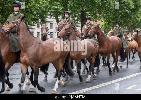 I membri della Household Cavalry hanno visto sposarsi con i loro cavalli lungo Whitehall. Immagine scattata il 24th maggio 2022. © Belinda Jiao jiao.bilin@gmail. Foto Stock