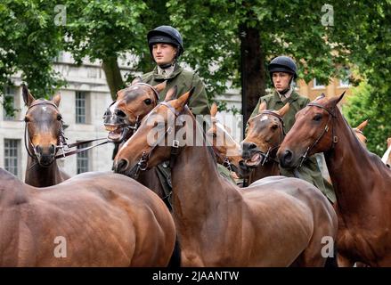 I membri della Household Cavalry hanno visto sposarsi con i loro cavalli lungo Whitehall. Immagine scattata il 24th maggio 2022. © Belinda Jiao jiao.bilin@gmail. Foto Stock