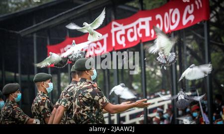 Kathmandu, Bagmati, Nepal. 29th maggio 2022. I membri dell'Esercito del Nepal rilasciano i piccioni come simbolo di pace durante la celebrazione della Giornata della Repubblica a Kathmandu, Nepal, 29 maggio 2022, il giorno della Repubblica commemora la data in cui la prima riunione dell'Assemblea costituente del Nepal ha avuto luogo il 28 maggio 2008, Che ha concluso il regno di 240 anni dei re di Shah e ha dichiarato il Nepal una repubblica. (Credit Image: © Sunil Sharma/ZUMA Press Wire) Credit: ZUMA Press, Inc./Alamy Live News Foto Stock