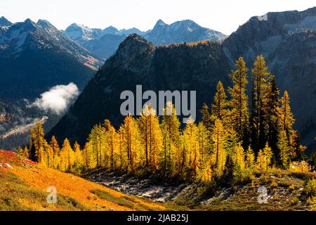 WA21602-00...WASHINGTON - Vista della North Cascades Highway dal Maple Pass Trail nella Okanogan-Wenatchee National Forest. Foto Stock