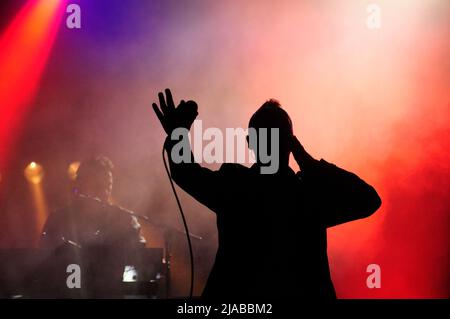 Vienna, Austria. Giugno 23, 2012. Jim Kerr di Simple Minds si esibisce in concerto al Danube Island Festival Foto Stock
