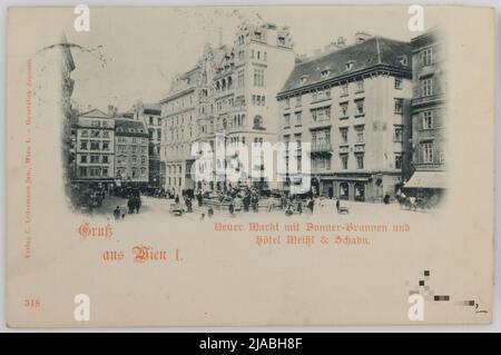 1st, nuovo mercato - con fontana di tuono e Hôtel Meißl & Schadn, cartolina. Carl (Karl) Ledermann jun., produttore Foto Stock