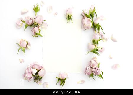 Struttura da rose e petali su sfondo bianco. Disposizione piatta. Foto Stock