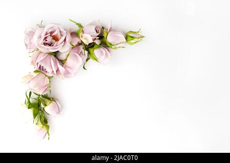 Struttura da rose e petali su sfondo bianco. Disposizione piatta. Foto Stock