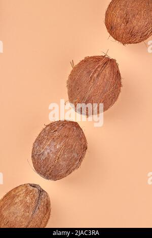 Quattro noci di cocco tropicali marroni su sfondo colorato. Vista dall'alto di frutta esotica. Foto Stock