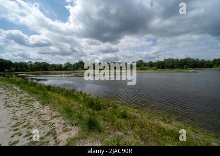 Un lago nella riserva naturale di Lozerheide in Belgio Foto Stock