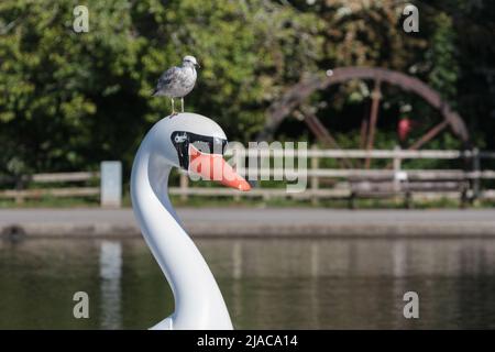 Pedalo sul lago in barca Foto Stock