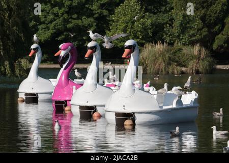 Pedalo sul lago in barca Foto Stock