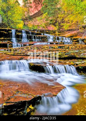 i colori cadono alle cascate di arcangelo sulla sinistra insenatura nord lungo la strada per la metropolitana nel parco nazionale di zion, utah Foto Stock