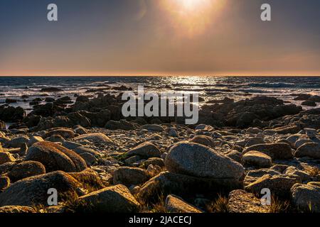 Monterey Complex, California USA Foto Stock