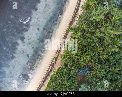 Spiaggia tropicale selvaggia a Mauritius dall'alto Foto Stock
