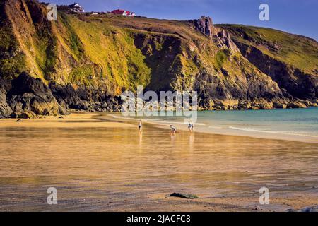 Polurrian Bay, Mullion, Helston, Cornovaglia Foto Stock