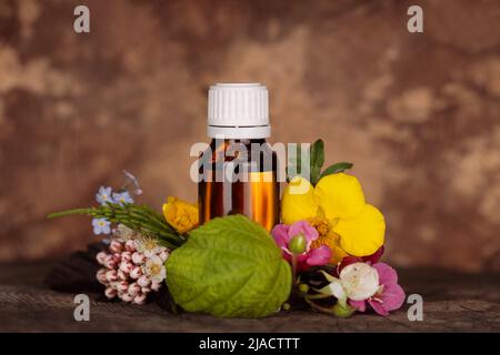 Mock-up, bottiglia di olio essenziale in bropwn con piante medicinali e fiori, wellness e spa estratti naturali di olio essnetial. Bach terapia, alternati Foto Stock