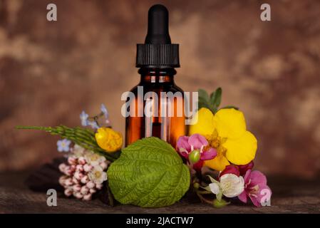 Mockup, bottiglia di olio essenziale con piante medicinali e fiori, fitoterapia, wellness e spa estratti naturali di olio essneziale. Bach terapia, alt Foto Stock