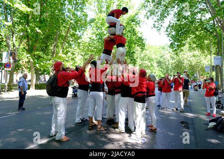 Madrid, Spagna. 29th maggio 2022. La gente crea un Castell durante il festival Dulzainas de la Villa al Paseo del Prado di Madrid. Il festival è stato organizzato dall'associazione ARARE (Associazione Culturale di Musica e Danza) per la diffusione delle tradizioni culturali della Spagna. (Foto di Atilano Garcia/SOPA Images/Sipa USA) Credit: Sipa USA/Alamy Live News Foto Stock