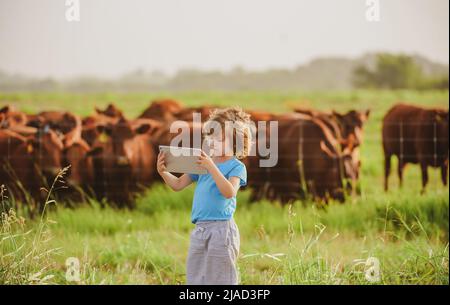 Piccolo bambino contadino con tavoletta vicino alla fattoria di mucche. Estate bambini in campagna. Bambini in fattoria. Carne biologica, latte, cibo. Foto Stock