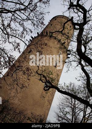 Vista autunnale della torre e delle rovine del castello di Godesburg a Bad Godesberg a Bonn, Germania Foto Stock