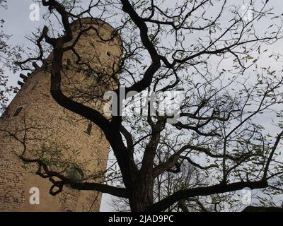 Vista autunnale della torre e delle rovine del castello di Godesburg a Bad Godesberg a Bonn, Germania Foto Stock