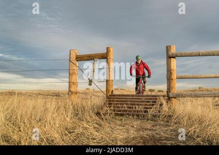 Un uomo anziano sta guidando una mountain bike e si sta avvicinando ad una guardia del bestiame nella zona naturale di Soapstone Prairie nel nord del Colorado, scenario di fine autunno Foto Stock