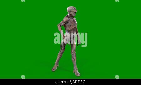 Fantasy personaggio Zombie Undead in posa epica - 3D rendering su sfondo verde isolato Foto Stock