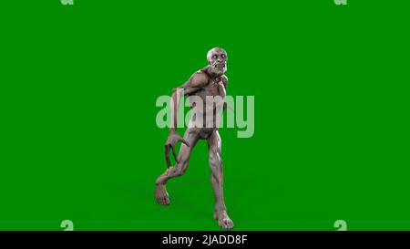 Fantasy personaggio Zombie Undead in posa epica - 3D rendering su sfondo verde isolato Foto Stock