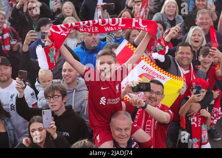 Un giovane sostenitore di Liverpool tiene in mano una sciarpa mentre la squadra del Liverpool FC festeggia durante la sfilata degli autobus all'aperto attraverso la città Foto Stock