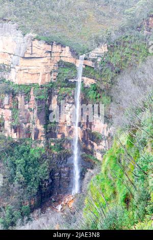 Govetts Leap Falls o Bridal Veil Falls, Grose Valley, Blue Mountains National Park, Blackheath, NSW, Australia, cascata in pieno flusso Foto Stock