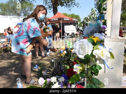 Uvalde, Stati Uniti. 30th maggio 2022. I lutto si riuniscono in un memoriale di fiori alla Robb Elementary School di Uvalde, Texas, domenica 29 maggio 2022. Un giorno di riprese di massa prima lasciò 19 bambini e due adulti morti alla scuola elementare. Foto di Jon farina/UPI Credit: UPI/Alamy Live News Foto Stock