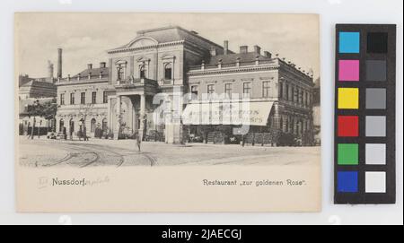 19th, Nußdorf - Nußdorfer Platz 8 - Ristorante 'Zur Goldenden Rose', cartolina. Fratelli Kohn KG (B. K. W. I.), PRODUTTORE Foto Stock