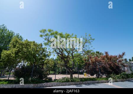 Tarragona è una città costiera della Catalogna (Spagna). È la capitale e la città più grande della contea di Tarragonès, Camp de Tarragona. Foto Stock