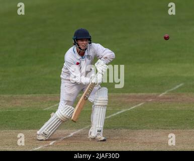 Harry Caton batte per Derbyshire CCC 2nd XI contro Durham in una seconda partita di campionato XI. Giocata alla Repton School Derbyshire Foto Stock