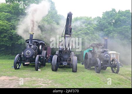 Motori di trazione a Horsted Keynes nel Sussex occidentale. Foto Stock