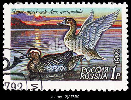 MOSCA, RUSSIA - 14 MAGGIO 2022: Francobollo stampato in Russia mostra Garganey (Anas querquidula), serie Ducks, circa 1992 Foto Stock