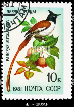 MOSCA, RUSSIA - 14 MAGGIO 2022: Francobollo stampato in URSS mostra Amur Paradise Flycatcher (Terpsiphone incei), Song Birds serie, circa 1981 Foto Stock