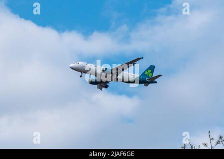 An Aer Lingus Airbus A320-200 (EI-DVL) on come raggiungere l'aeroporto di Londra Heathrow, Regno Unito. Foto Stock