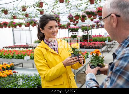 Giovane donna sorridente che tiene un vaso di fiori e che lo mostra ad un proprietario di serra. Foto Stock