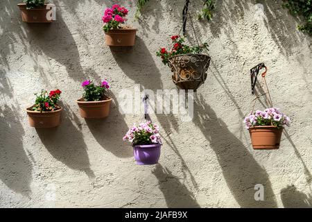 Lussemburgo città, maggio 2022. Vasi di fiori appesi al muro Foto Stock