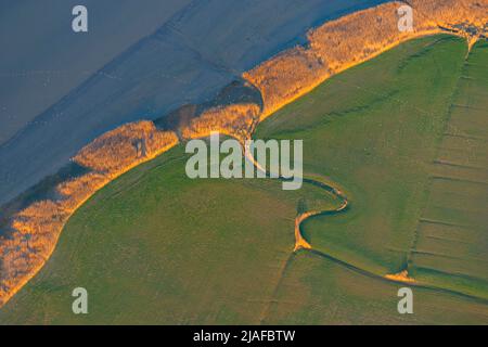 Riva quasi naturale del fiume Elba vicino a Kehdingen, 04/18/2022, vista aerea, Germania, bassa Sassonia Foto Stock