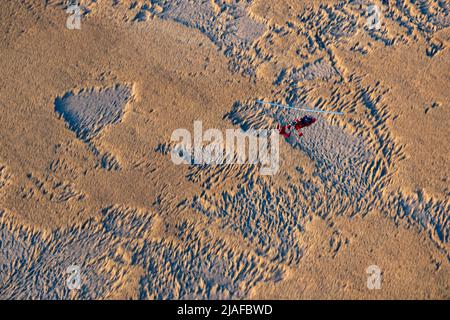 Zona delle canne lungo il fiume Weser, 04/18/2022, vista aerea, Germania, bassa Sassonia, Langluetjen Foto Stock