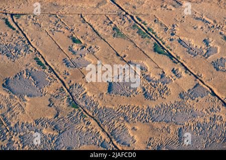 Zona delle canne lungo il fiume Weser, 04/18/2022, vista aerea, Germania, bassa Sassonia, Langluetjen Foto Stock