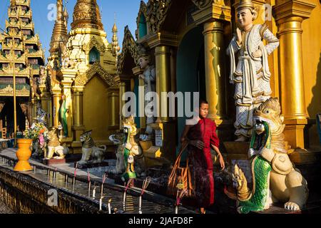 Yangon, Myanmar. 12th Jan 2020. Un monaco buddista cammina intorno alla Pagoda Shwedagon. Vita quotidiana sulle strade trafficate e le principali attrazioni di Yangon, l'ex capitale del Myanmar. La città è ancora il più grande e il centro industriale e commerciale del paese. Vita quotidiana sulle strade trafficate e le principali attrazioni di Yangon, l'ex capitale del Myanmar. La città è ancora il più grande e il centro industriale e commerciale del paese. (Foto di Eduardo Leal/SOPA Images/Sipa USA) Credit: Sipa USA/Alamy Live News Foto Stock