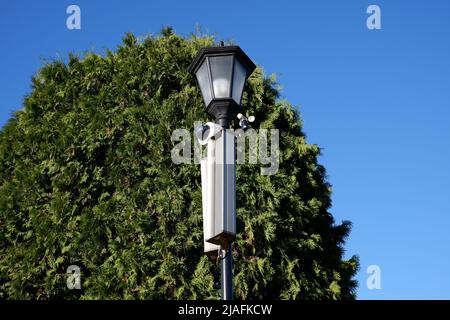 telecamera di sorveglianza su una lanterna nel parco Foto Stock