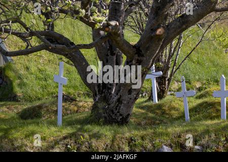 Tombe nel cimitero della chiesa di Hofskirkja con tetto in erba a Hof, Islanda Foto Stock