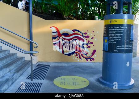 Scatta foto alla University of New South Wales Foto Stock